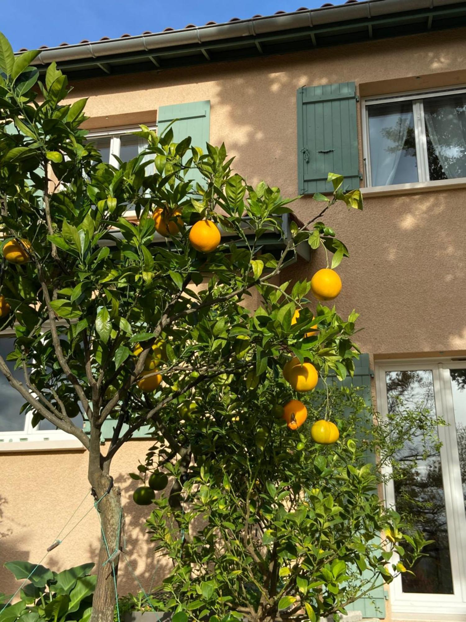 Le Relais Des Malettes Chambres D'Hotes B&B Francheville  Eksteriør billede