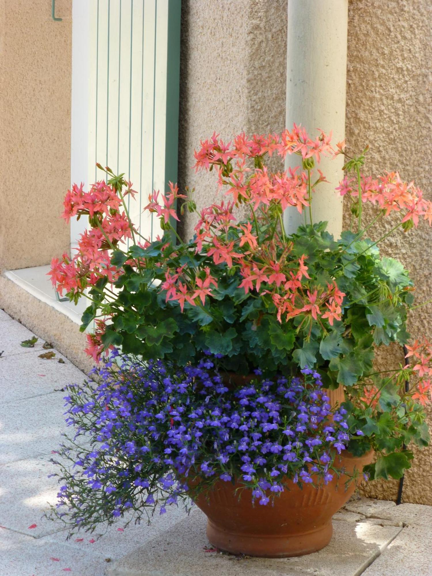 Le Relais Des Malettes Chambres D'Hotes B&B Francheville  Eksteriør billede